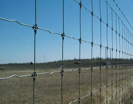 刺繩防護網(wǎng) 刺繩防護網(wǎng)