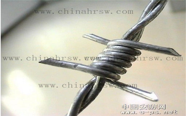 刺絲圍欄 刺絲圍欄