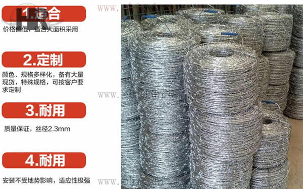 鐵蒺藜防護網 鐵蒺藜防護網