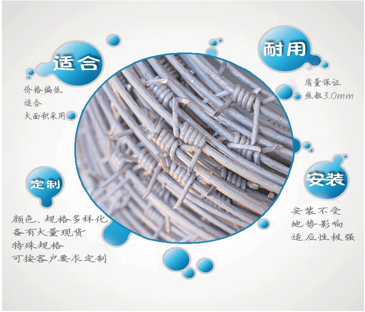 帶刺鐵絲網 帶刺鐵絲網