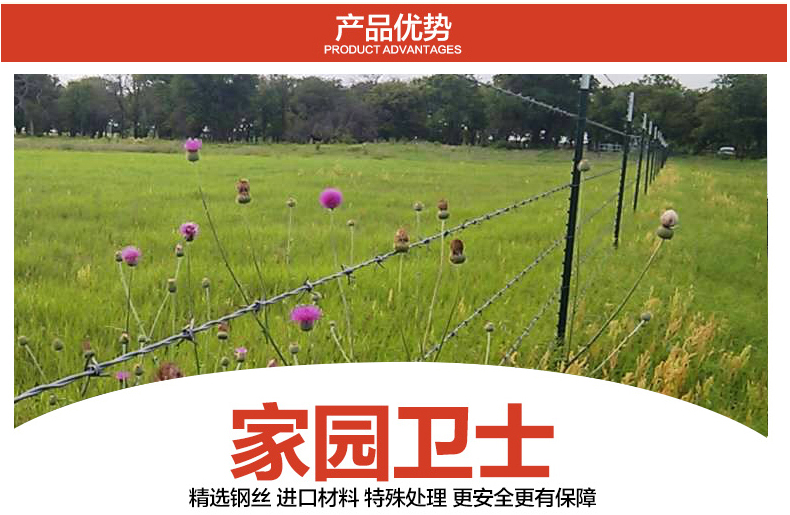 刺繩1.jpg 刺繩1.jpg