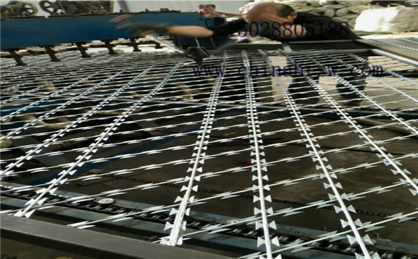 監獄防護網 監獄防護網